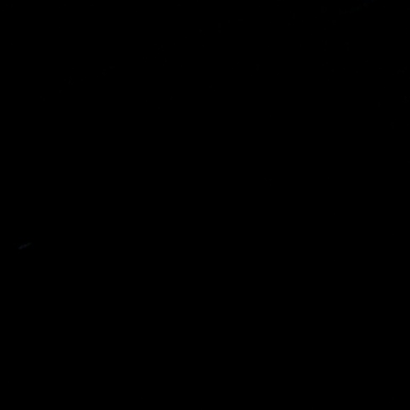 cp363636